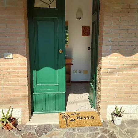 Fiorella